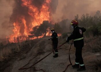 Mάχη με τις φλόγες στη περιοχή της Φυλής – Προσπάθειες να μην μπει η φωτιά στον Εθνικό Δρυμό της Πάρνηθας