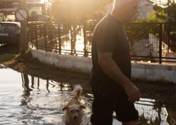 Λάρισα: Μαζική η συμμετοχή εθελοντών για τη βοήθεια στους πληγέντες – Δημιουργία οχυρωμάτων για την προστασία των κατοικιών