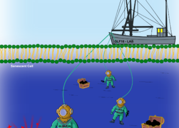 Πρωτοποριακή έρευνα Ελλήνων επιστημόνων ανοίγει τον δρόμο για εξατομικευμένη θεραπεία του καρκίνου