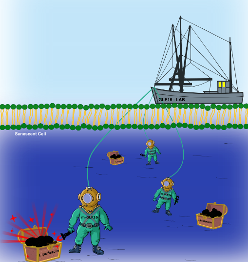 Πρωτοποριακή έρευνα Ελλήνων επιστημόνων ανοίγει τον δρόμο για εξατομικευμένη θεραπεία του καρκίνου