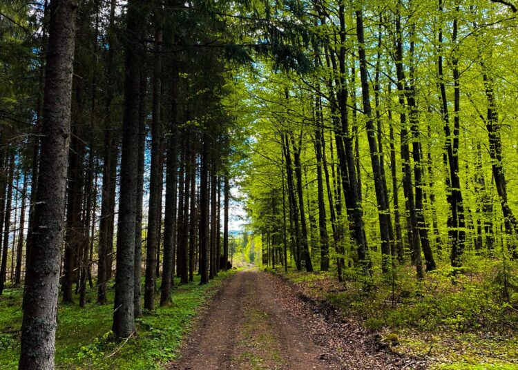 ΤΑΙΠΕΔ: Έργα 1,32 δισ. ευρώ έχει θέσει σε τροχιά υλοποίησης το PPF