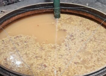 ΑΑΔΕ: Κατασχέθηκαν 23 χιλιάδες λίτρα παράνομης και επικίνδυνης τσικουδιάς στο Ηράκλειο Κρήτης