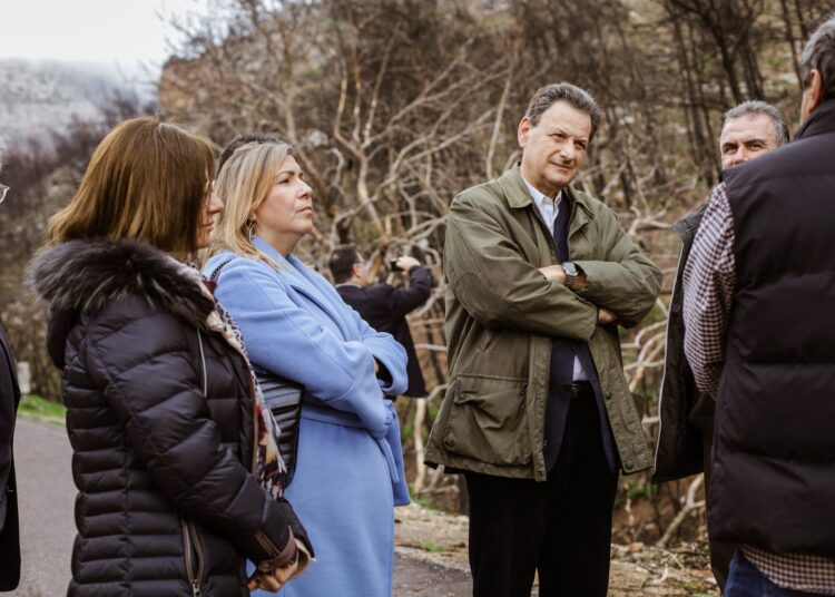 ΔΕΗ: Αποκατάσταση 13.600 στρεμμάτων στην Πάρνηθα με χορηγία €2,5 εκατ.