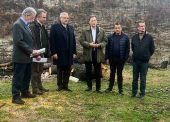 Θ. Σκυλακάκης: Τα αντιδιαβρωτικά έργα στην Πάρνηθα προχωρούν με μεγάλη ταχύτητα και αποτελεσματικότητα