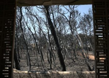 Δίκη για το Μάτι – Σ. Τερζούδης: “Στη συνέντευξη Τύπου ξέραμε για κάποιους νεκρούς”