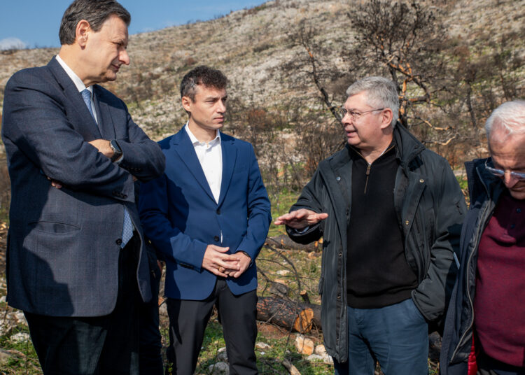 Η ΗELLENiQ ENERGY ολοκληρώνει τα κρίσιμα αντιδιαβρωτικά έργα στις καμένες δασικές εκτάσεις της Δυτικής Αττικής