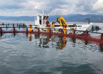 Η Philosofish οδηγεί τον κλάδο της υδατοκαλλιέργειας  με την επαναστατική χρήση ανακυκλωμένων διχτυών