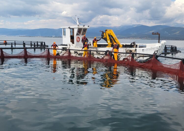 Η Philosofish οδηγεί τον κλάδο της υδατοκαλλιέργειας  με την επαναστατική χρήση ανακυκλωμένων διχτυών