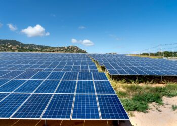 Νέα αγροτικά προϊόντα «ΓΑΙΑ» από τη ΔΕΗ