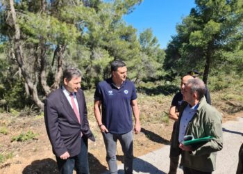 Επίβλεψη έργων πρόληψης και αντιπυρικής προστασίας στην Δ. Αττική από Κικίλια και Σκυλακάκη