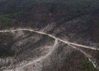 Υπεγράφη η απόφαση ανασύστασης του Μελισσοκομικού Πάρκου Δαδιάς