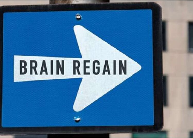 Υπουργείο Εξωτερικών/Απόδημοι Έλληνες: Πρακτικός Οδηγός για τις ευκαιρίες επαναπατρισμού