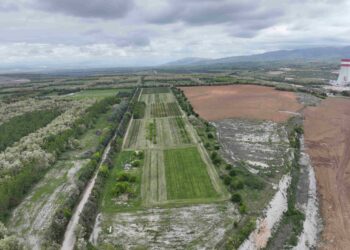 ΔΕΗ: Ιδρυτικό μέλος στην διεθνή πρωτοβουλία «Συμμαχία  για τη Βιώσιμη Διαχείριση της Βιοποικιλότητας»