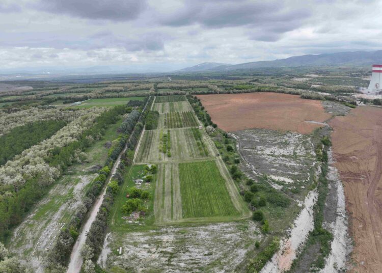 ΔΕΗ: Ιδρυτικό μέλος στην διεθνή πρωτοβουλία «Συμμαχία  για τη Βιώσιμη Διαχείριση της Βιοποικιλότητας»