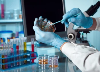 Politico: Το χάμπουργκερ που μπορεί να «σκοτώσει» την Ευρώπη -Το κρέας που καλλιεργείται στο εργαστήριο