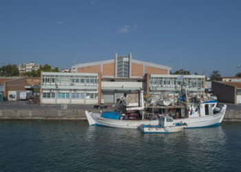 Σημείο Αναφοράς ο  ΟΚΑΑ ΑΕ για τους φοιτητές του Μεταπτυχιακού του ΠΑΔΑ στην Ιχθυόσκαλα Μηχανιώνας