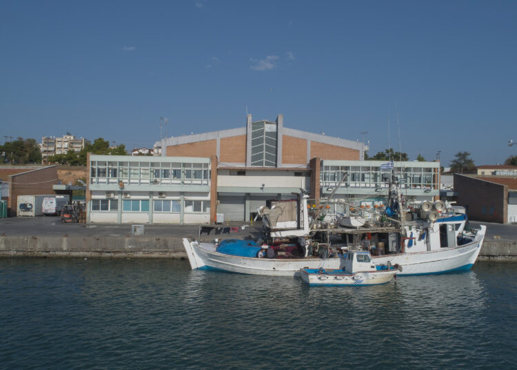 Σημείο Αναφοράς ο  ΟΚΑΑ ΑΕ για τους φοιτητές του Μεταπτυχιακού του ΠΑΔΑ στην Ιχθυόσκαλα Μηχανιώνας