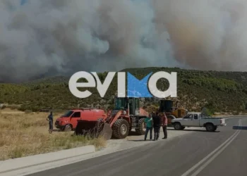 Φωτιά στην Εύβοια: Καίει ανεξέλεγκτα – Εκκενώνονται χώρια