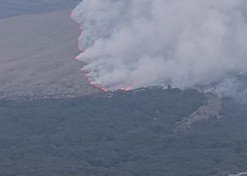 Φωτιά τώρα στη Δράμα: Περισσότερα από 11.000 στρέμματα καμένα (vid)