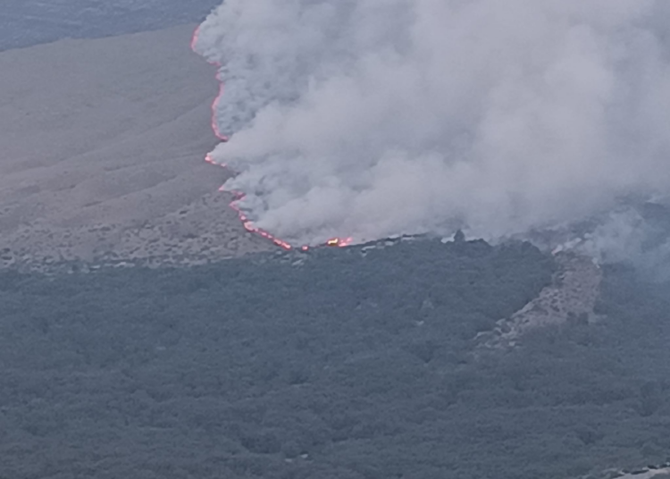 Φωτιά τώρα στη Δράμα: Περισσότερα από 11.000 στρέμματα καμένα (vid)
