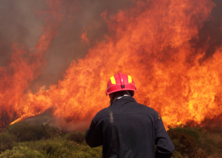 Φωτιά τώρα στη Μαγούλα Ελευσίνας