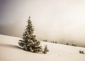ΤΑΙΠΕΔ: Εκκίνηση διαγωνισμού για την αξιοποίηση του Εθνικού Χιονοδρομικού Κέντρου Βασιλίτσας
