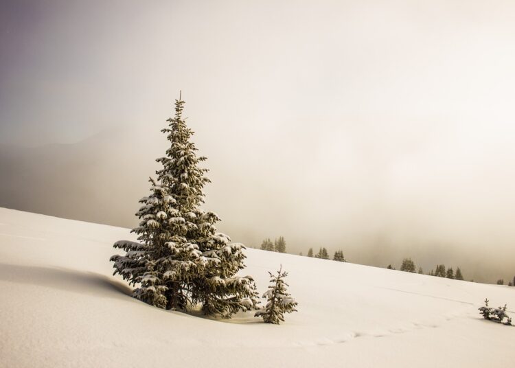 ΤΑΙΠΕΔ: Εκκίνηση διαγωνισμού για την αξιοποίηση του Εθνικού Χιονοδρομικού Κέντρου Βασιλίτσας