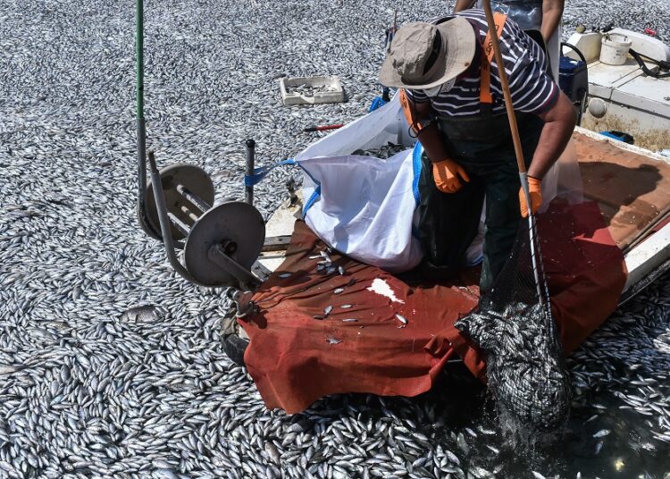 Κουρέτας για Μαγνησία: Να κηρυχθεί σε κατάστασης έκτακτης ανάγκης, λόγω των νεκρών ψαριών