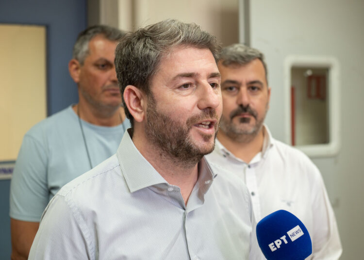 Ανδρουλάκης: Χρέος μας να δημιουργήσουμε ένα κράτος λειτουργικό, που θα προστατεύει τη φύση και τον άνθρωπο