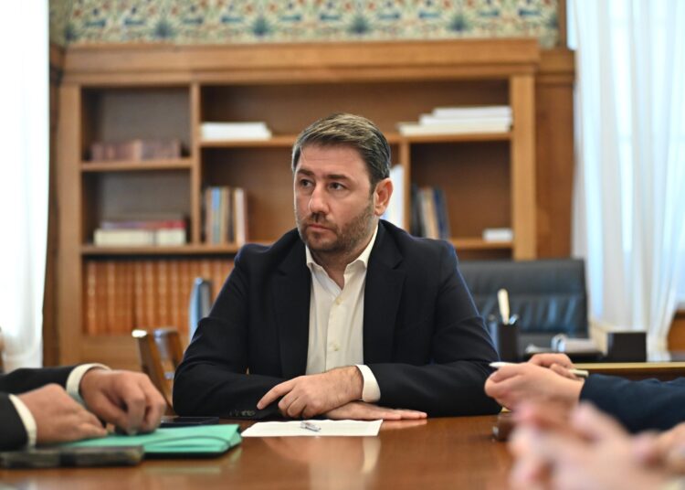 Ανδρουλάκης: Χρέος μας να δημιουργήσουμε ένα κράτος λειτουργικό, που θα προστατεύει τη φύση και τον άνθρωπο