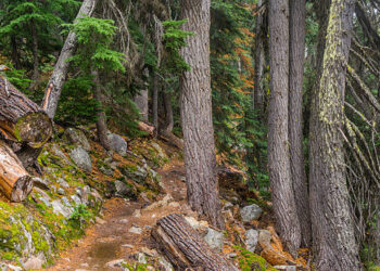 ΕΥΔΑΠ /Λειψυδρία: Μην σπαταλάτε νερό- Ενισχύει το δίκτυο ύδρευσης της πρωτεύουσας