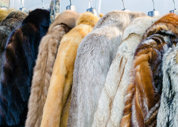 Δυτ. Μακεδονία: Επιχορήγηση €3,55 εκατ. σε επιχειρήσεις γούνας που έχουν πληγεί από τον πόλεμο στην Ουκρανία