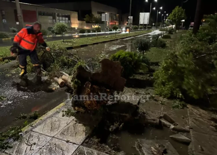 Λαμία: Μεγάλες ζημιές από μπουρίνι – Ξεπέρασαν τα 80 χλμ οι άνεμοι (vid)