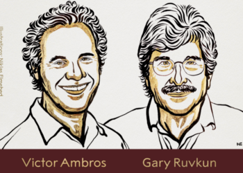 Νόμπελ Ιατρικής του 2024: Σε 2 Αμερικανούς για την ανακάλυψη του microRNA