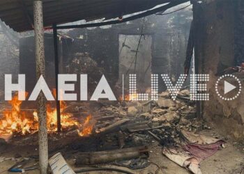 Φωτιά στην Ηλεία: 9 πύρινα μέτωπα- Κάηκαν σπίτια