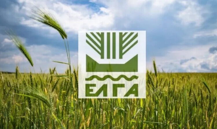 Στα «ταμεία» του ΕΛΓΑ οι κτηνοτρόφοι για την εκκαθαριστική αποζημίωση από Daniel και Elias