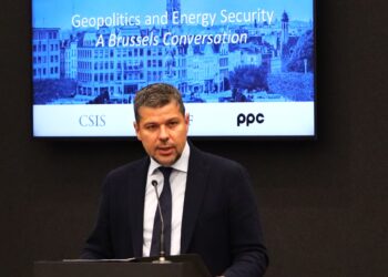 Στάσσης: Η ΔΕΗ σε ρόλο «κλειδί» για την ενεργειακή ασφάλεια της ΝΑ Ευρώπης