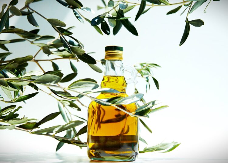 Ελαιόλαδο: Πως διαμορφώνονται οι τιμές της νέας σοδειάς στην Ελλάδα