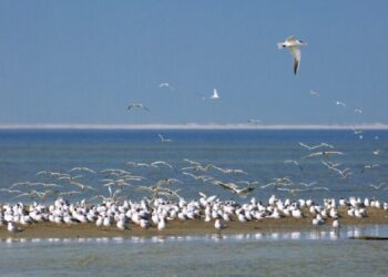 ΟΦΥΠΕΚΑ: 34 θέσεις επιστημόνων στο νέο οργανόγραμμα