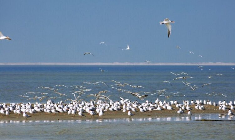 ΟΦΥΠΕΚΑ: 34 θέσεις επιστημόνων στο νέο οργανόγραμμα