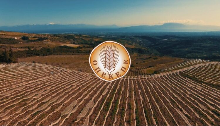 ΟΠΕΚΕΠΕ: Ξεκίνησαν οι πληρωμές εκκαθάρισης ενισχύσεων έτους 2023