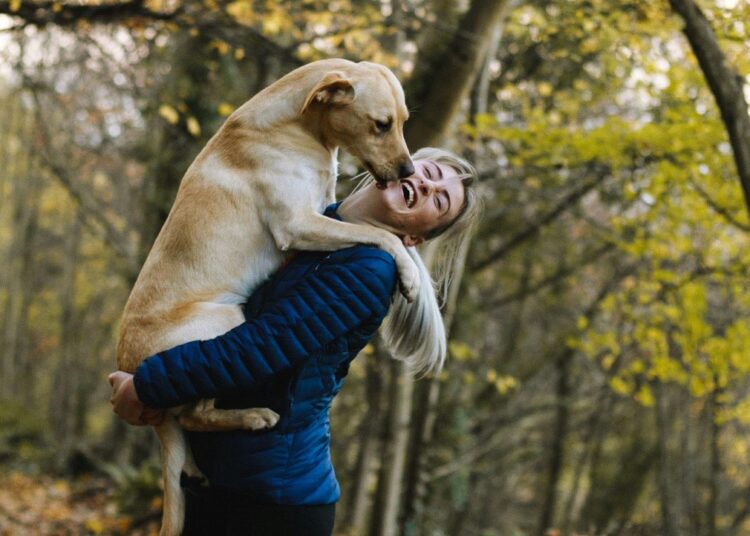 Ένα συγκλονιστικό κείμενο για την αγάπη του σκύλου: Αν ονειρευτείς μια μέρα να μπορέσεις να με ξαναδείς...