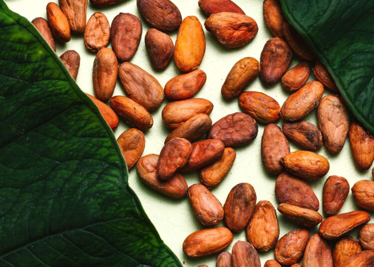 Κακάο: Νέο άλμα 14% στις τιμές – Ράλι που το καθιστά κορυφαίο εμπόρευμα το 2024