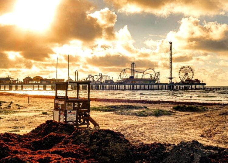 WTI Αργό Πετρέλαιο: Ισορροπία στην εκπνοή του 2024 – Η αγορά ετοιμάζεται για αναταράξεις