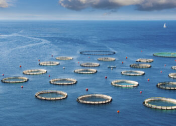 ΕΛΣΤΑΤ: Πτώση 19% στην αξία της παραγωγής υδατοκαλλιεργειών