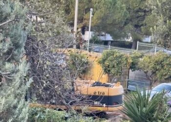 ΝΟΚ: «Πονηρούληδες» ξεκίνησαν εργασίες σε άχτιστα οικόπεδα