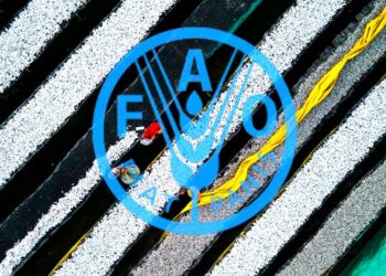 FAO: Παγκόσμια μείωση 2% στις τιμές τροφίμων το 2024