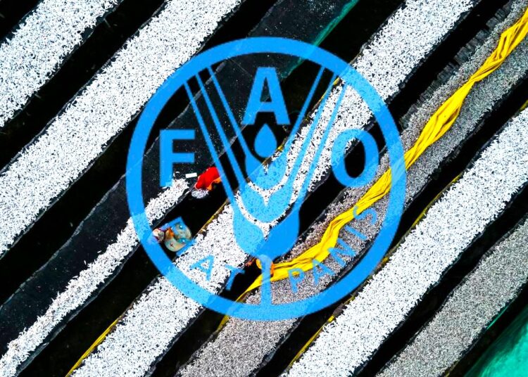 FAO: Παγκόσμια μείωση 2% στις τιμές τροφίμων το 2024