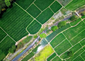 ΥΔΩΡ 2.0: Ολοκληρώθηκαν 5 διαγωνισμοί για αρδευτικά εργα 691 εκατ.ευρώ