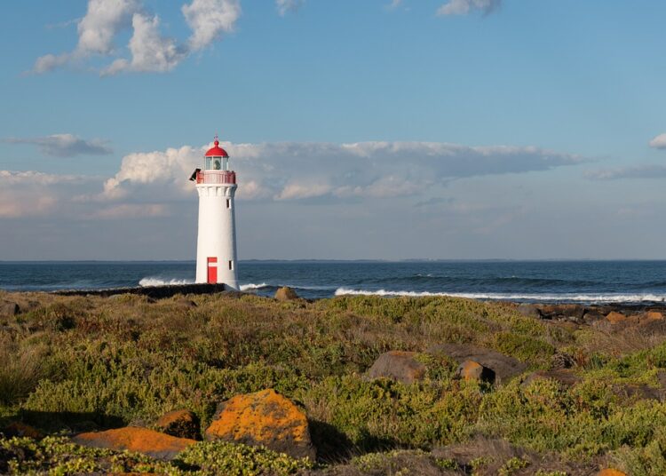 Live/ Καιρός που θυμίζει άνοιξη: «Αλκυονίδα» η φετινή Πρωτοχρονιά